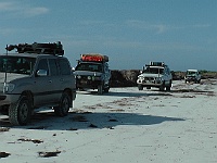 05 Seaweed Getting Taller 